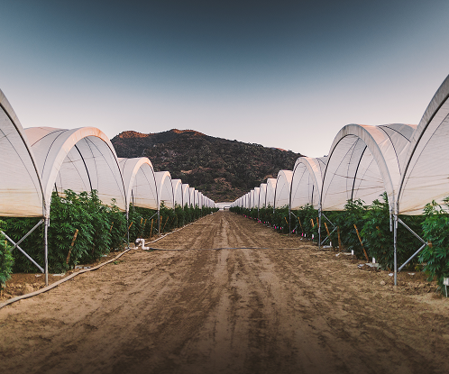 2020091_BrianWalker_0373 (1) 1