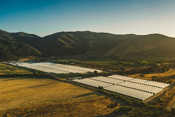 2020091_BrianWalker_0373 (1) 2