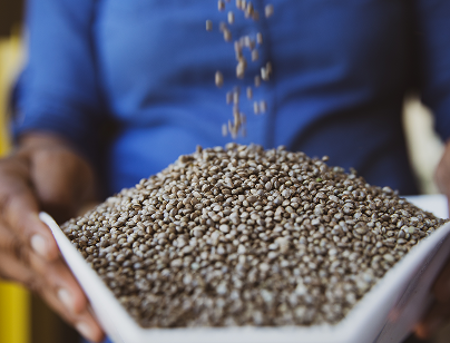 KristaSimmons-RawGarden0721-026 1