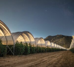 Background-aspect-ratio-365-330