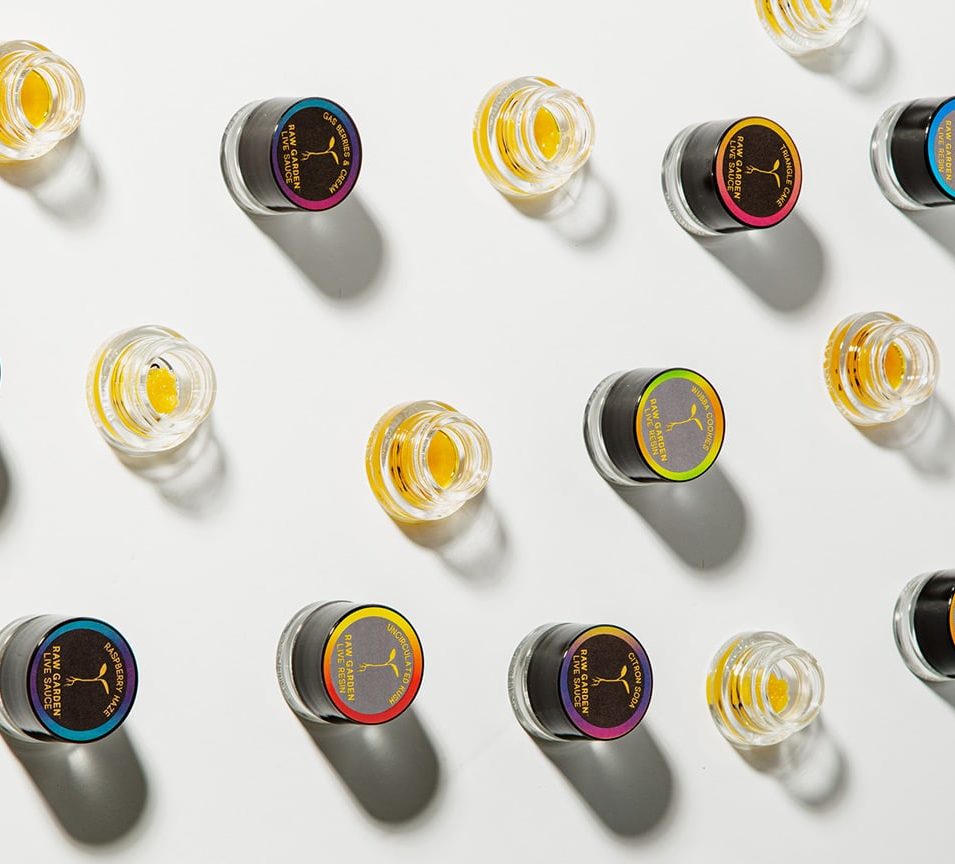 RAW-GARDEN-TEST-SHOOT-01-edit-1-aspect-ratio-365-330