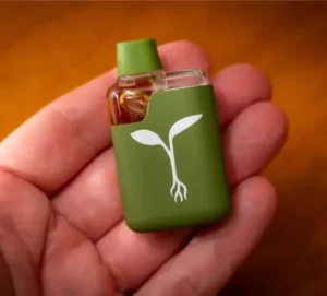 20250329_RawGardenSprout_6-aspect-ratio-365-330