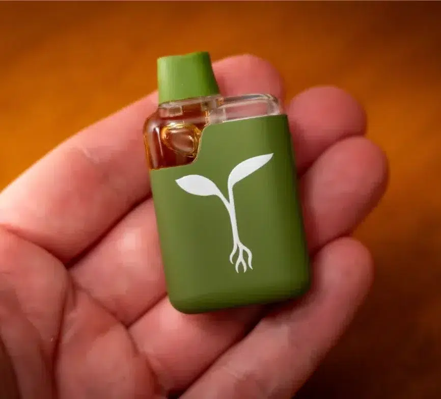 20250329_RawGardenSprout_6-aspect-ratio-365-330