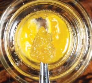 49-TOTW-courtesy-of-raw-garden-1-aspect-ratio-365-330