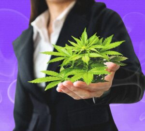 5f5909977ed0ee001e25e417-aspect-ratio-365-330