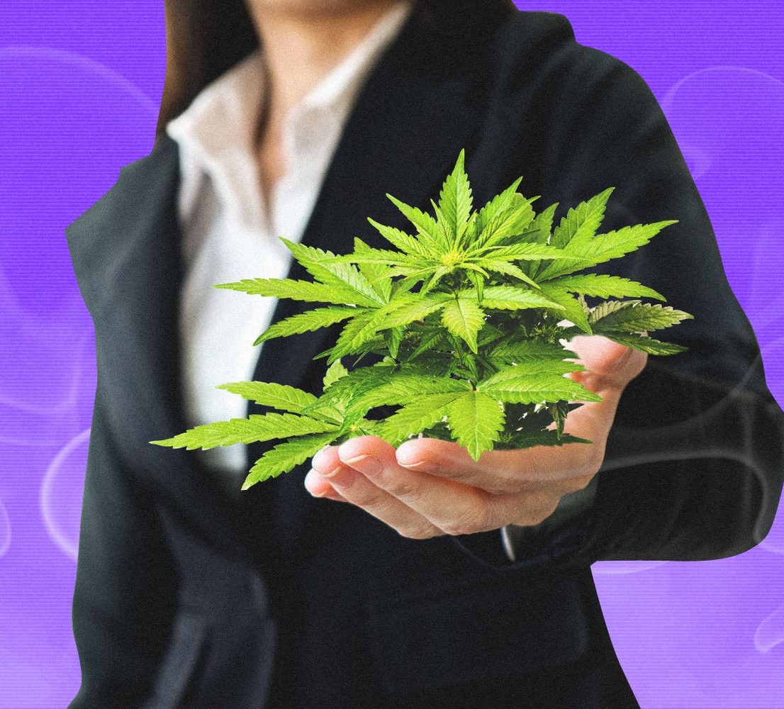 5f5909977ed0ee001e25e417-aspect-ratio-365-330