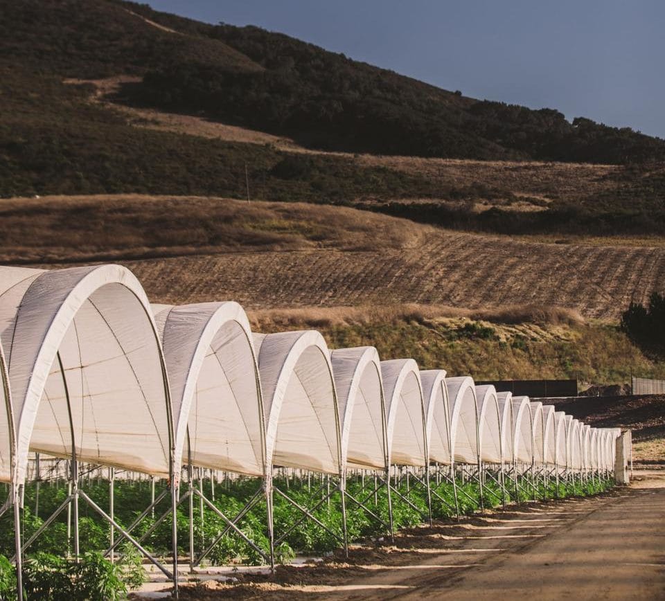 960x0-1-aspect-ratio-365-330