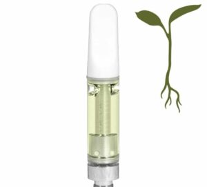 raw-garden-cartridge-aspect-ratio-365-330