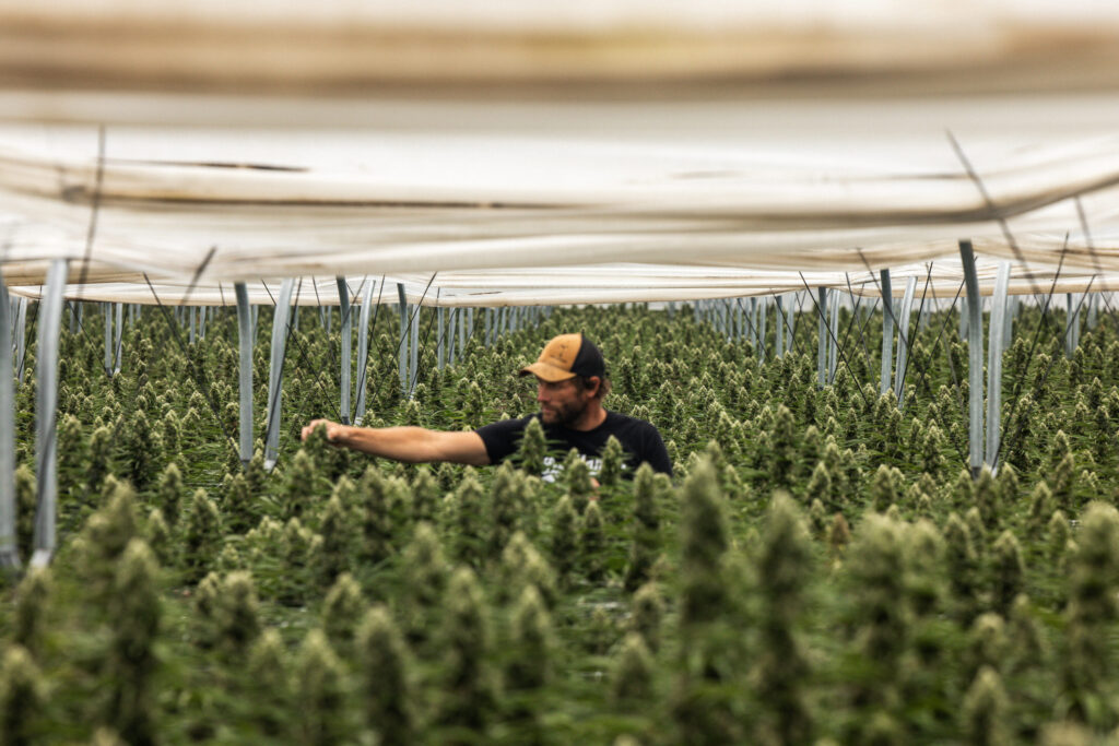 raw garden farmer inspecting