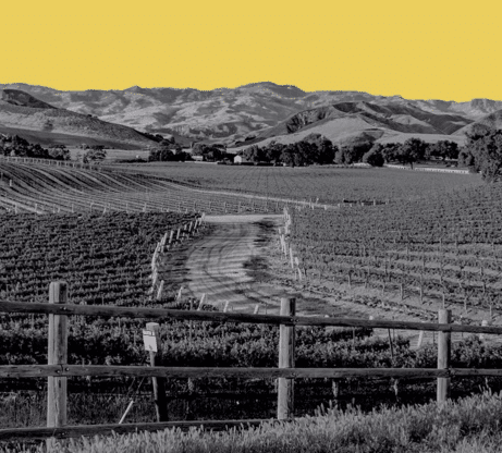 raw-garden-wine-country-aspect-ratio-365-330